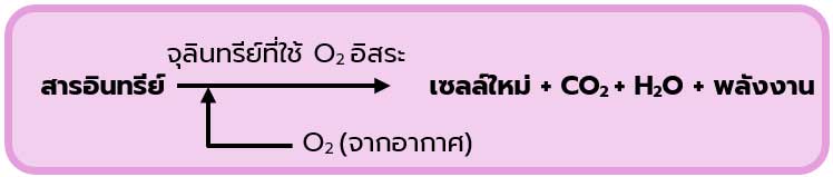 Wtw ค่าพารามิเตอร์ที่สำคัญสำหรับระบบบำบัดน้ำเสีย 06