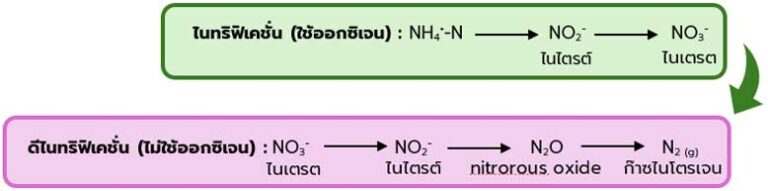 Wtw ค่าพารามิเตอร์ที่สำคัญสำหรับระบบบำบัดน้ำเสีย 08