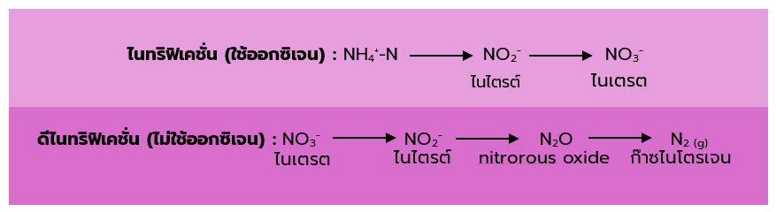 Wtw 7 เคล็ดลับการวัดค่าคุณภาพน้ำด้วย Ise Sensors ให้ได้ผลลัพธ์ที่แม่นยำ และน่าเชื่อถือ 02
