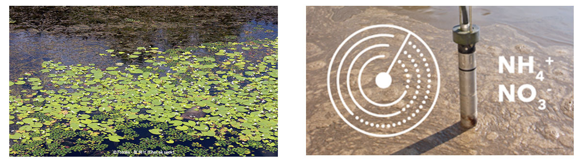 Wtw 7 เคล็ดลับการวัดค่าคุณภาพน้ำด้วย Ise Sensors ให้ได้ผลลัพธ์ที่แม่นยำ และน่าเชื่อถือ 04