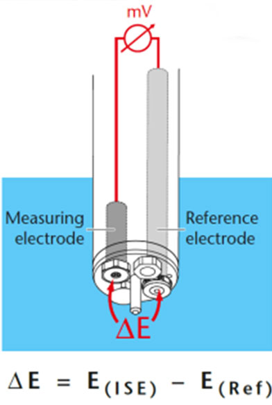 Wtw 7 เคล็ดลับการวัดค่าคุณภาพน้ำด้วย Ise Sensors ให้ได้ผลลัพธ์ที่แม่นยำ และน่าเชื่อถือ 05