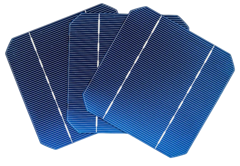 ขนาดลงไลน์เเนวนอน (1)